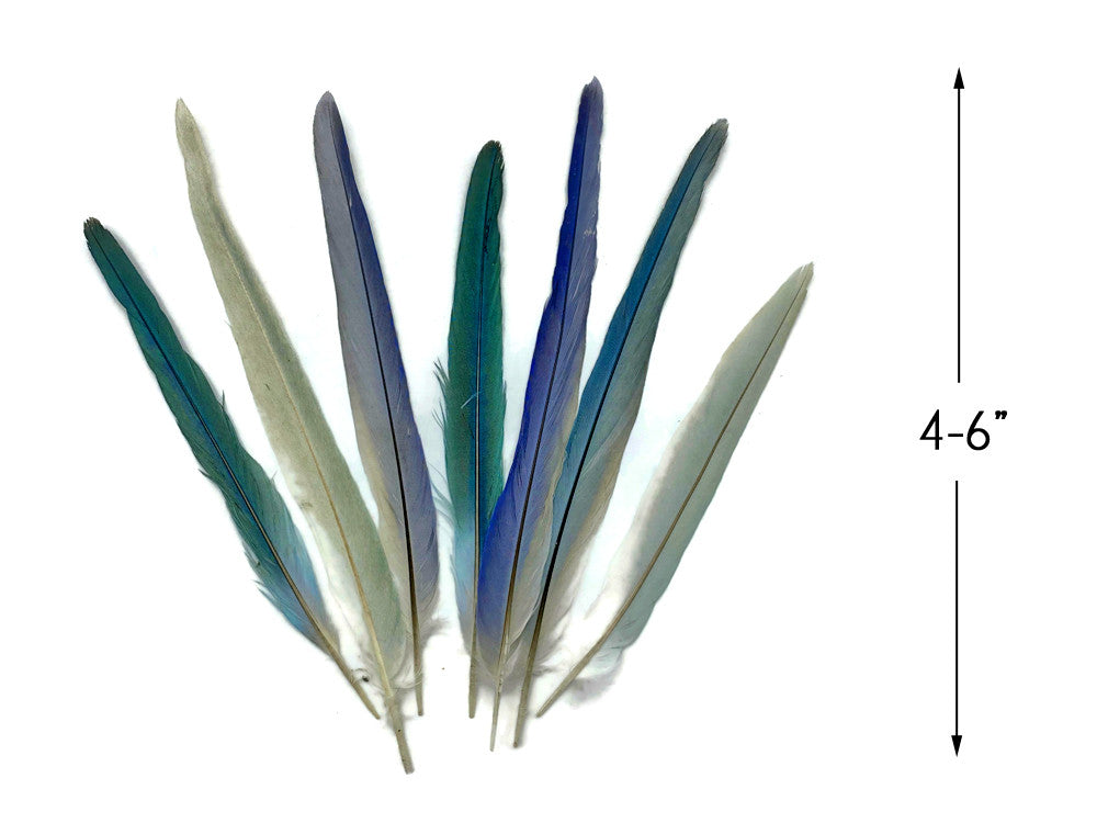 4 Pieces - Light Blue Mix Cockatiel Tail Ethically Sourced Feather