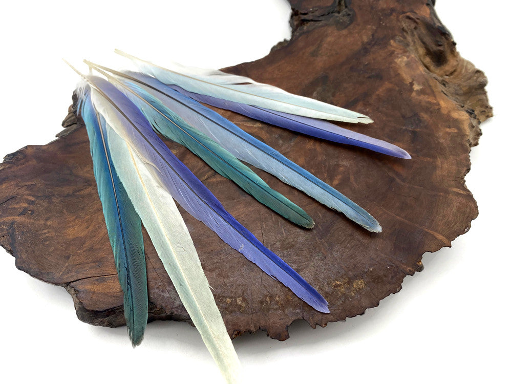 4 Pieces - Light Blue Mix Cockatiel Tail Ethically Sourced Feather