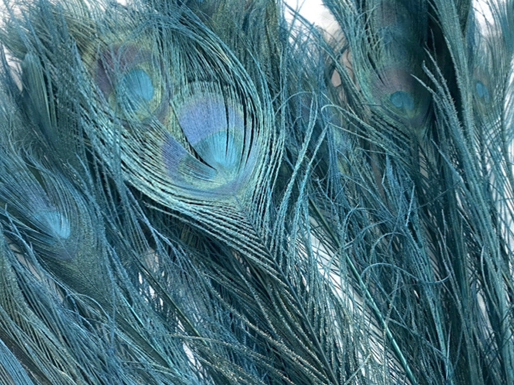 50 Pieces - 30-35" Teal Green Bleached & Dyed Peacock Tail Eye Wholesale Feathers (Bulk) 