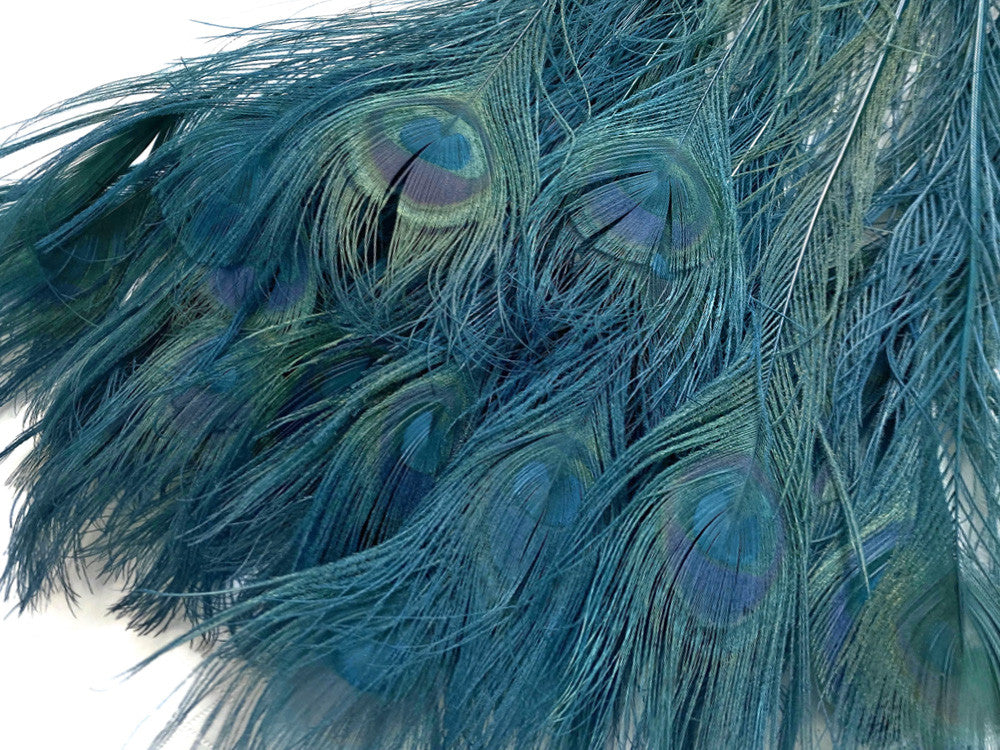 50 Pieces - 30-35" Teal Green Bleached & Dyed Peacock Tail Eye Wholesale Feathers (Bulk) 