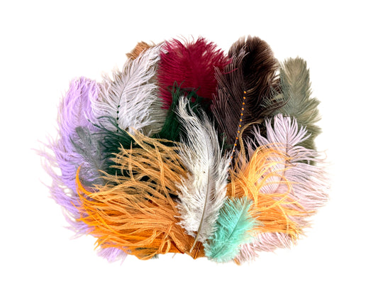 Collection 86 - Mix Random Feather Sample Pack (Bulk)