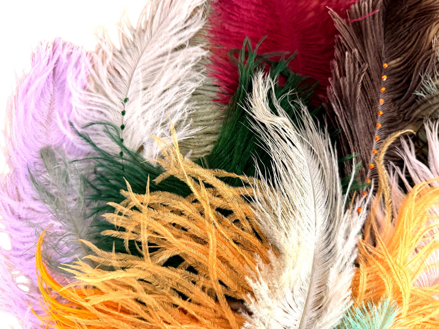 Collection 86 - Mix Random Feather Sample Pack (Bulk)