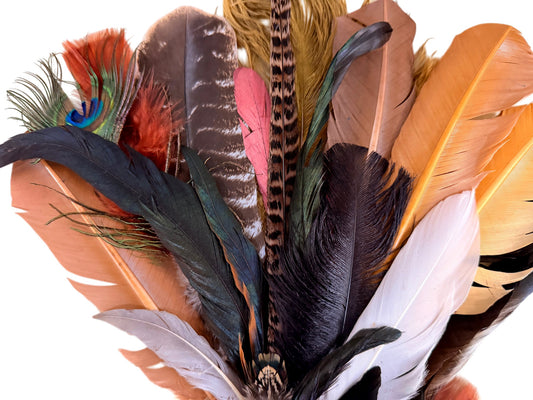 Collection 111 - Mix Random Feather Sample Pack (Bulk)