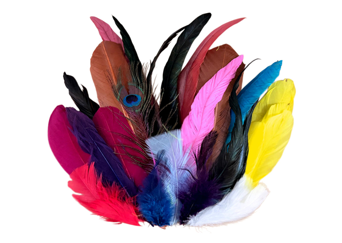 Collection 115 - Mix Random Exotic Feather Sample Pack (Bulk)