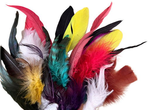 Collection 76 - Mix Random Feather Sample Pack (Bulk)