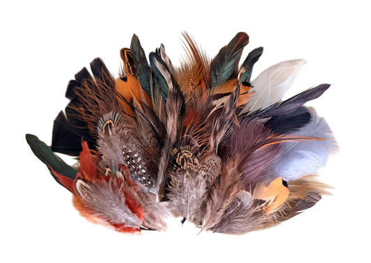 Collection 113 - Mix Random Feather Sample Pack (Bulk)