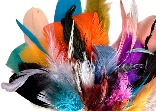 Collection 87 - Mix Random Feather Sample Pack (Bulk)