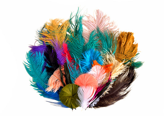 Collection 100 - Mix Random Feather Sample Pack (Bulk)