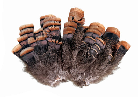 1 Set - Natural Brown Bronze Merriam Small Wild Turkey Tail Feather Clump