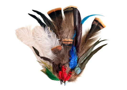 Collection 96 - Mix Random Feather Sample Pack (Bulk)
