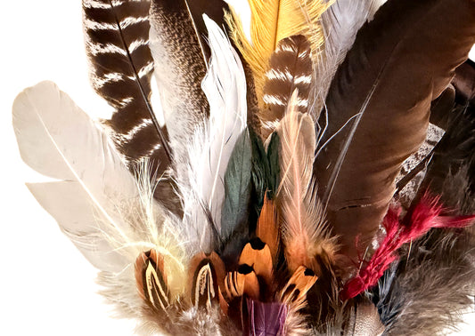 Collection 73 - Mix Random Feather Sample Pack (Bulk)