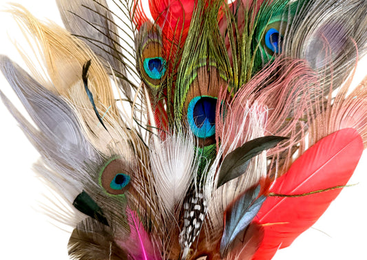 Collection 117 - Mix Random Feather Sample Pack (Bulk)