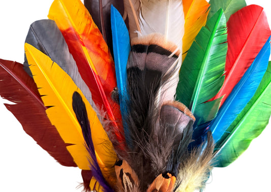 Collection 116 - Mix Random Feather Sample Pack (Bulk)