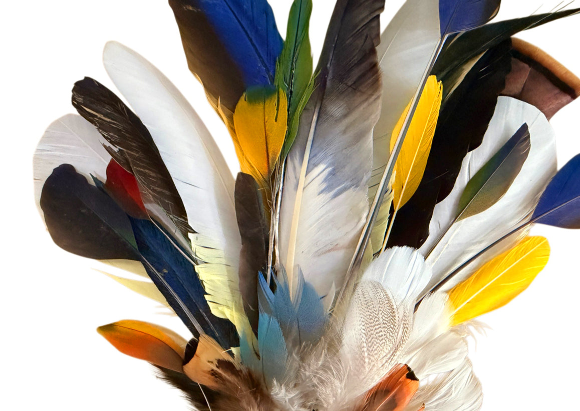 Collection 95 - Mix Random Feather Sample Pack (Bulk)