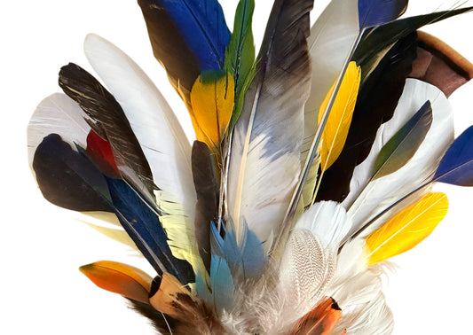 Collection 95 - Mix Random Feather Sample Pack (Bulk)