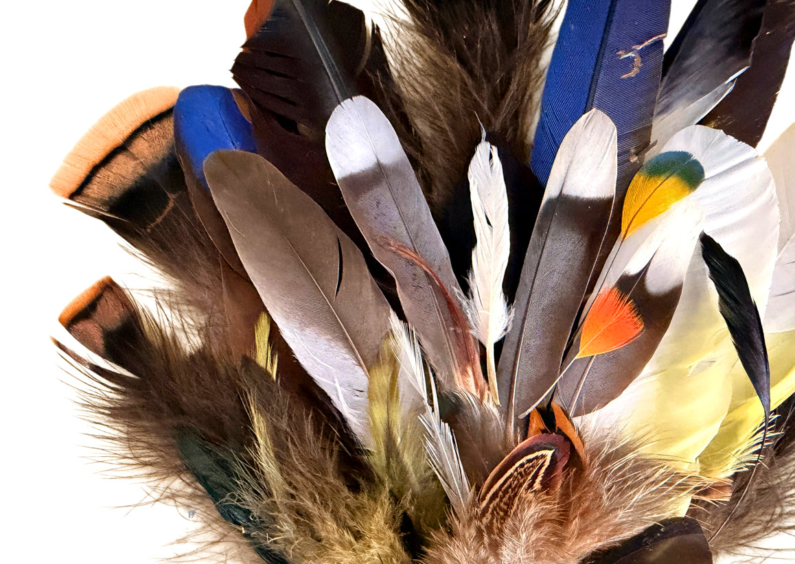 Collection 110 - Mix Random Feather Sample Pack (Bulk)