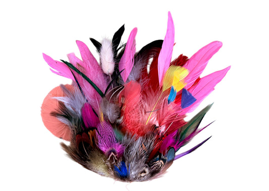 Collection 61 - Mix Random Feather Sample Pack (Bulk)