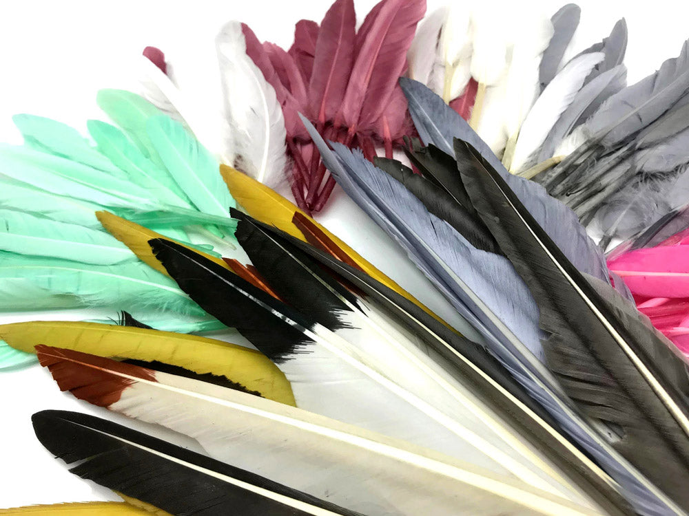 1/4 lbs. - Brown Duck Pointer Primary Wing Wholesale Feathers (Bulk)