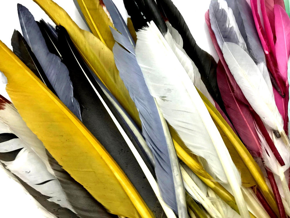1/4 lbs. - Brown Duck Pointer Primary Wing Wholesale Feathers (Bulk)