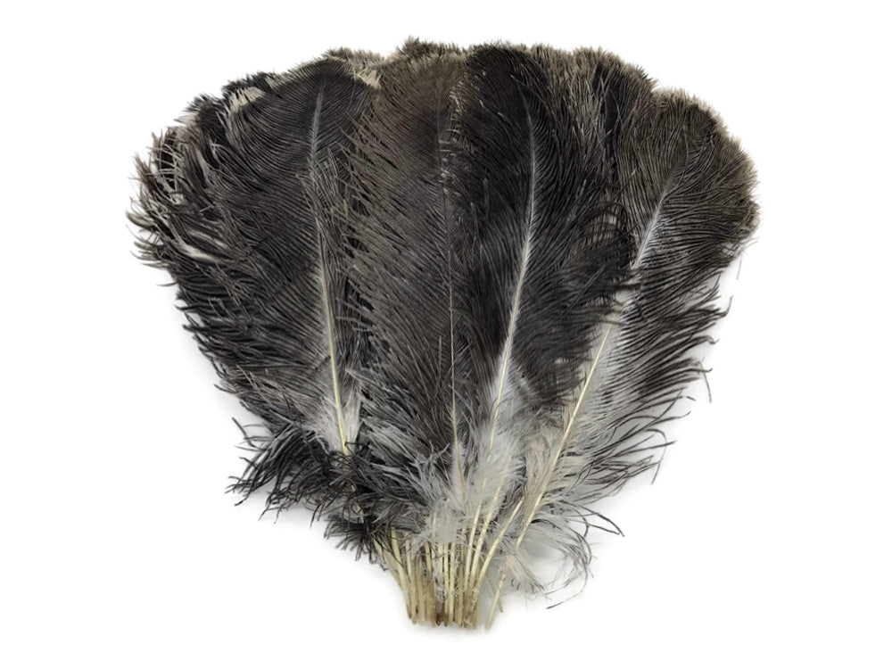 10 Pieces - 14-17" Natural Chinchilla Brown Ostrich Dyed Drab Body Feathers