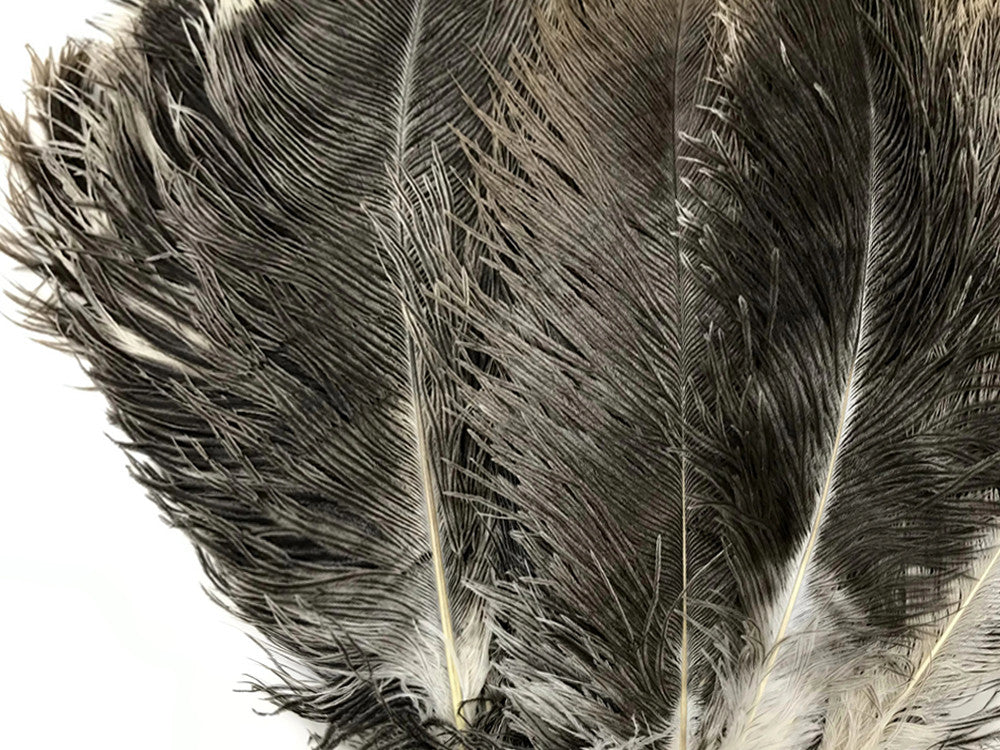 10 Pieces - 14-17" Natural Chinchilla Brown Ostrich Dyed Drab Body Feathers