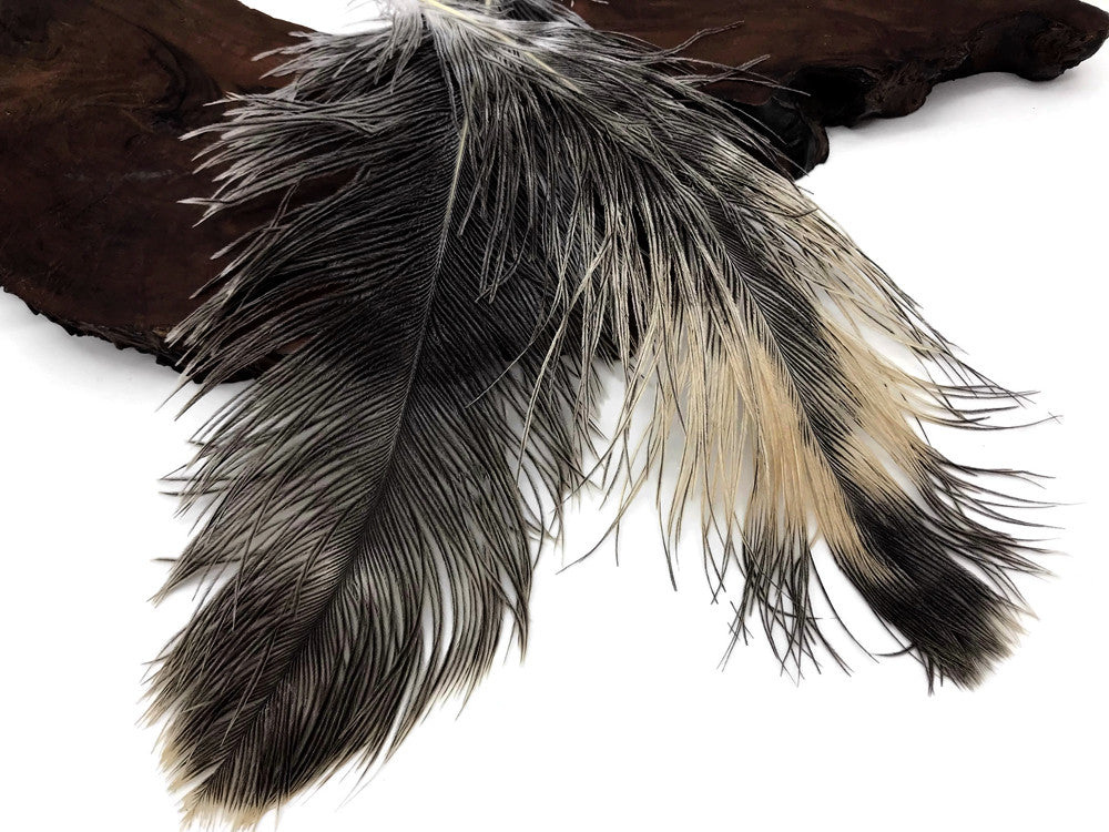 10 Pieces - 14-17" Natural Chinchilla Brown Ostrich Dyed Drab Body Feathers