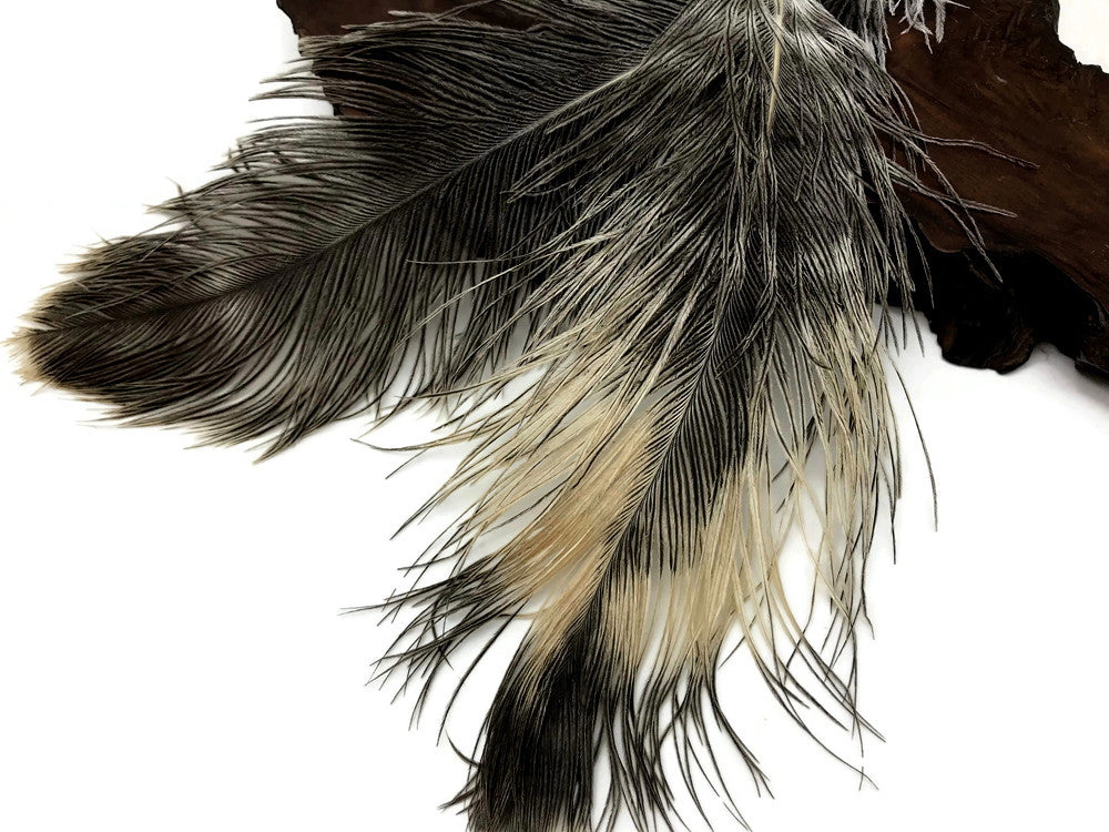 10 Pieces - 14-17" Natural Chinchilla Brown Ostrich Dyed Drab Body Feathers