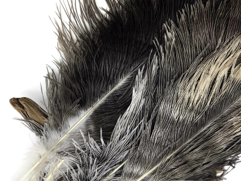 1/2 lb. - 14-17" Natural Chinchilla Brown Ostrich Large Body Drab Wholesale Feathers (Bulk)