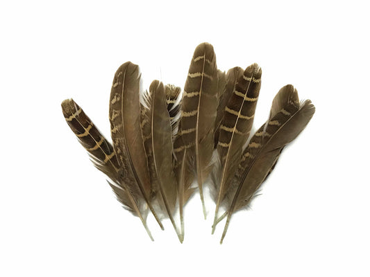 10 Pieces - Natural Brown Barred Partridge Small Wing Feathers