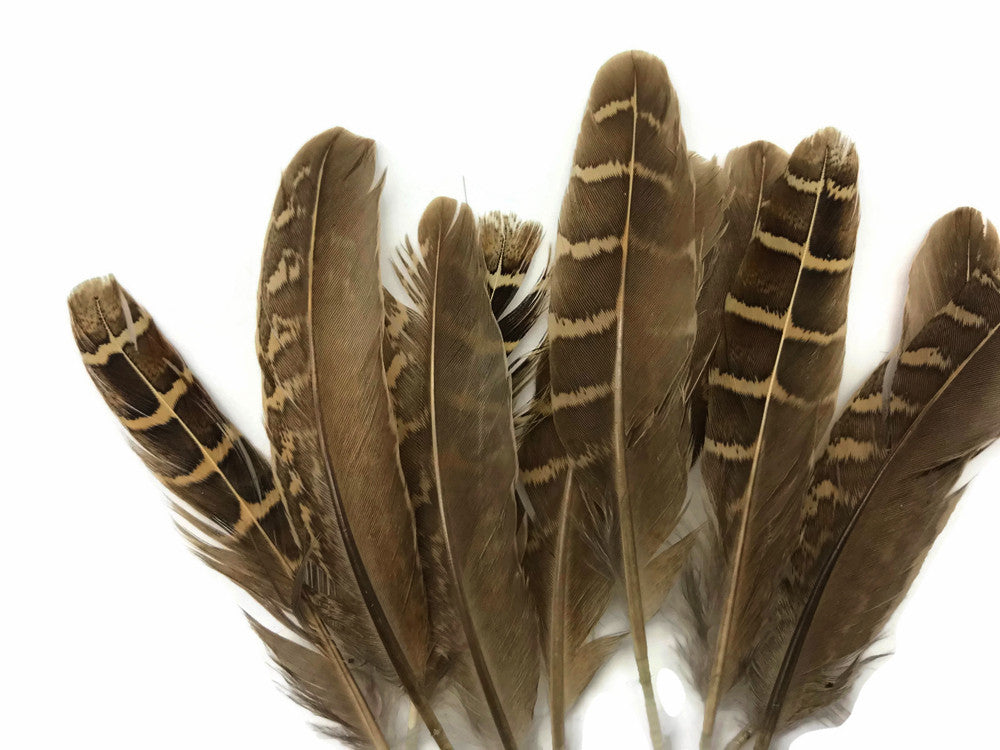 10 Pieces - Natural Brown Barred Partridge Small Wing Feathers