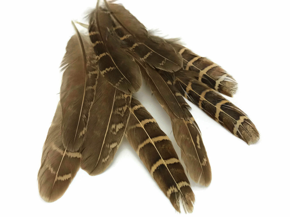 10 Pieces - Natural Brown Barred Partridge Small Wing Feathers