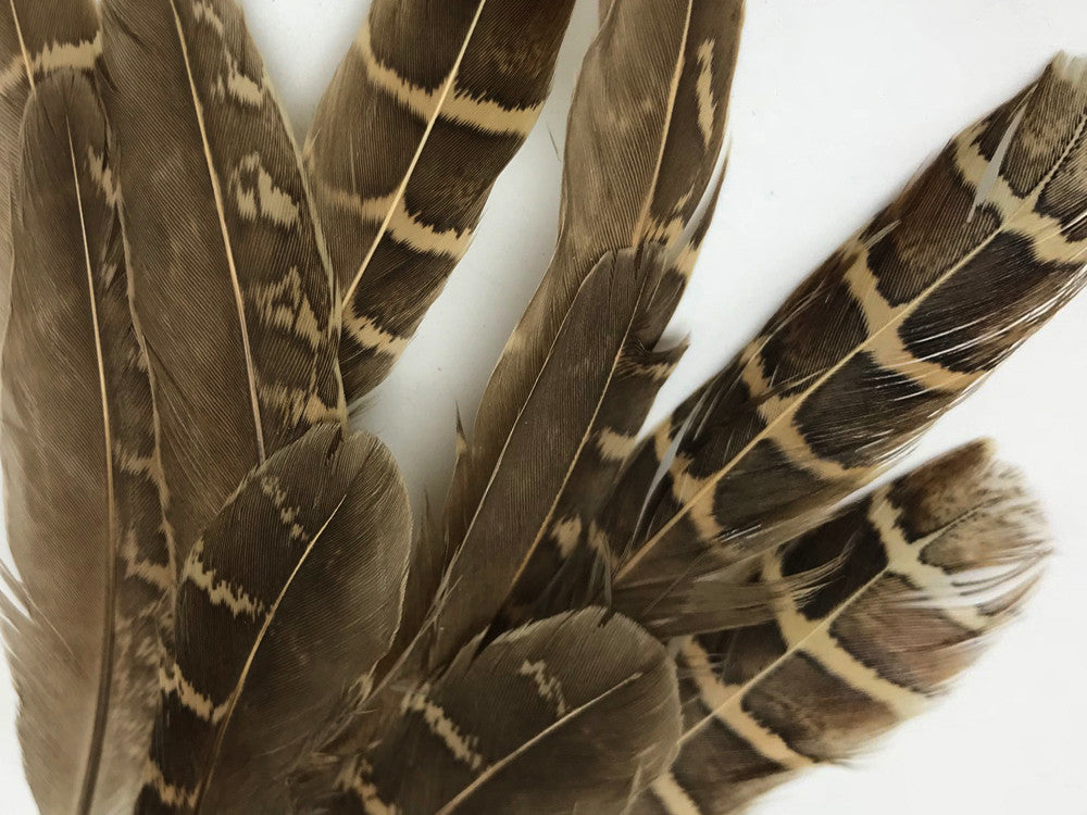 10 Pieces - Natural Brown Barred Partridge Small Wing Feathers