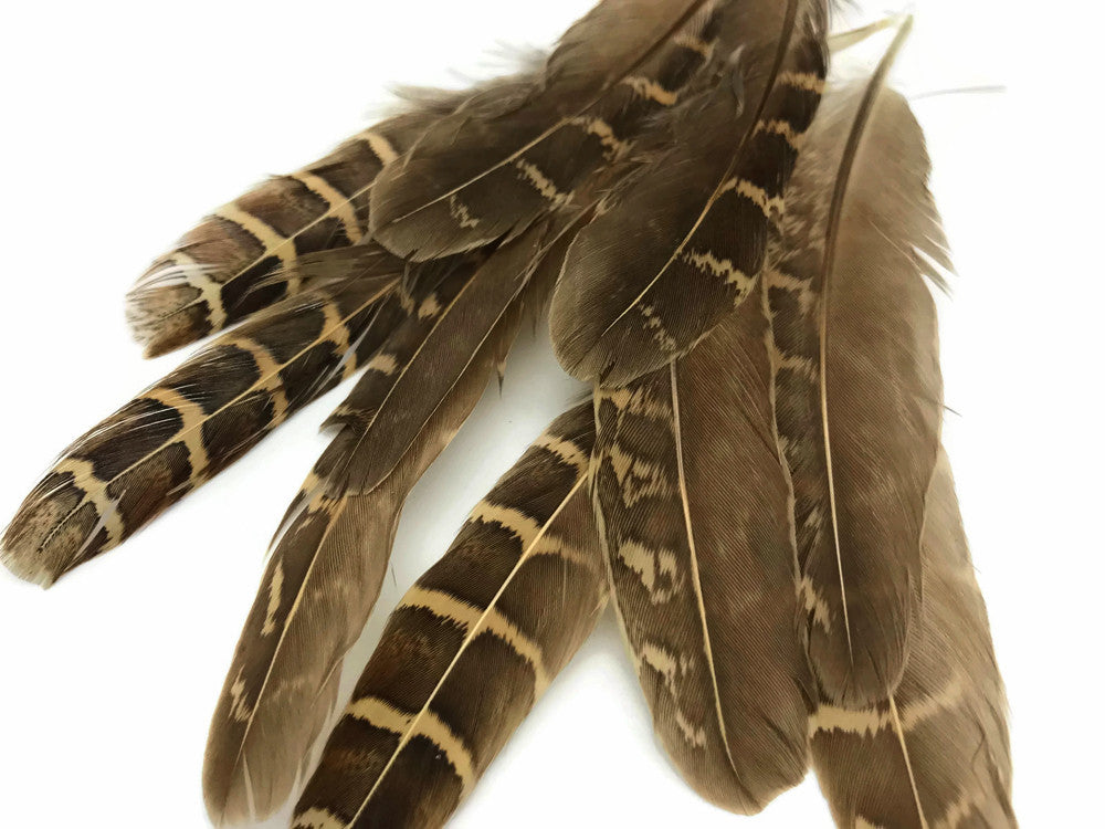 10 Pieces - Natural Brown Barred Partridge Small Wing Feathers