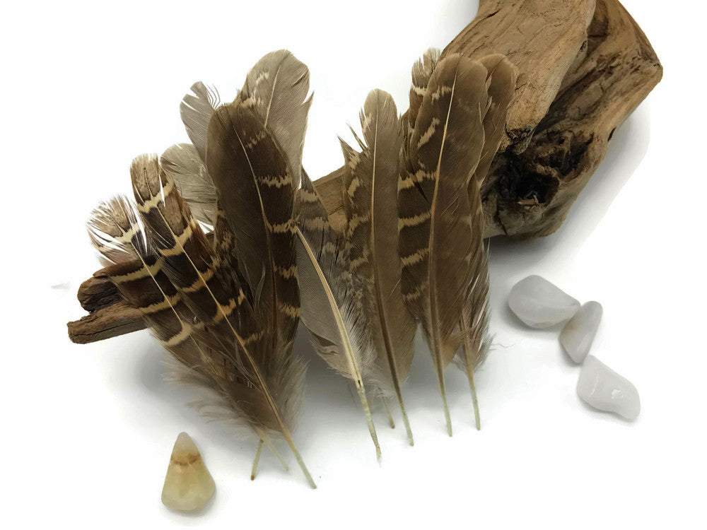 10 Pieces - Natural Brown Barred Partridge Small Wing Feathers