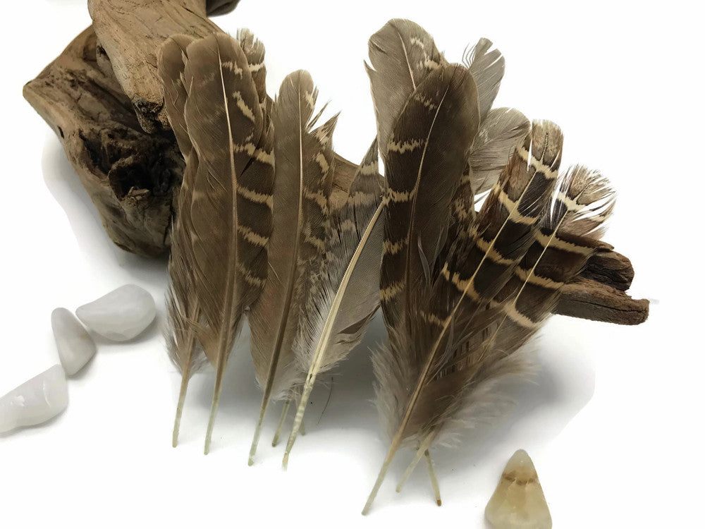 10 Pieces - Natural Brown Barred Partridge Small Wing Feathers