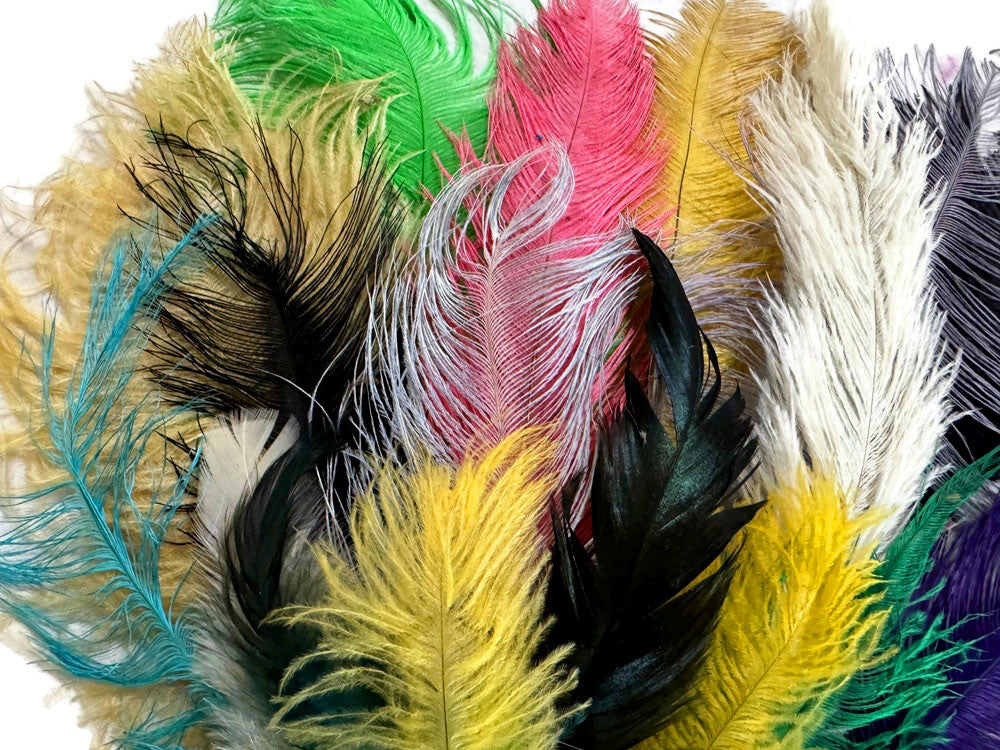 Collection 86 - Mix Random Feather Sample Pack (Bulk)