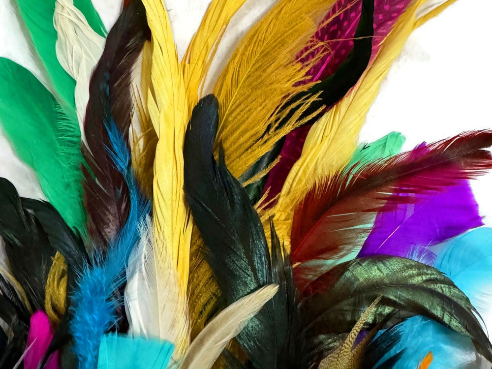 Collection 103 - Mix Random Feather Sample Pack (Bulk)