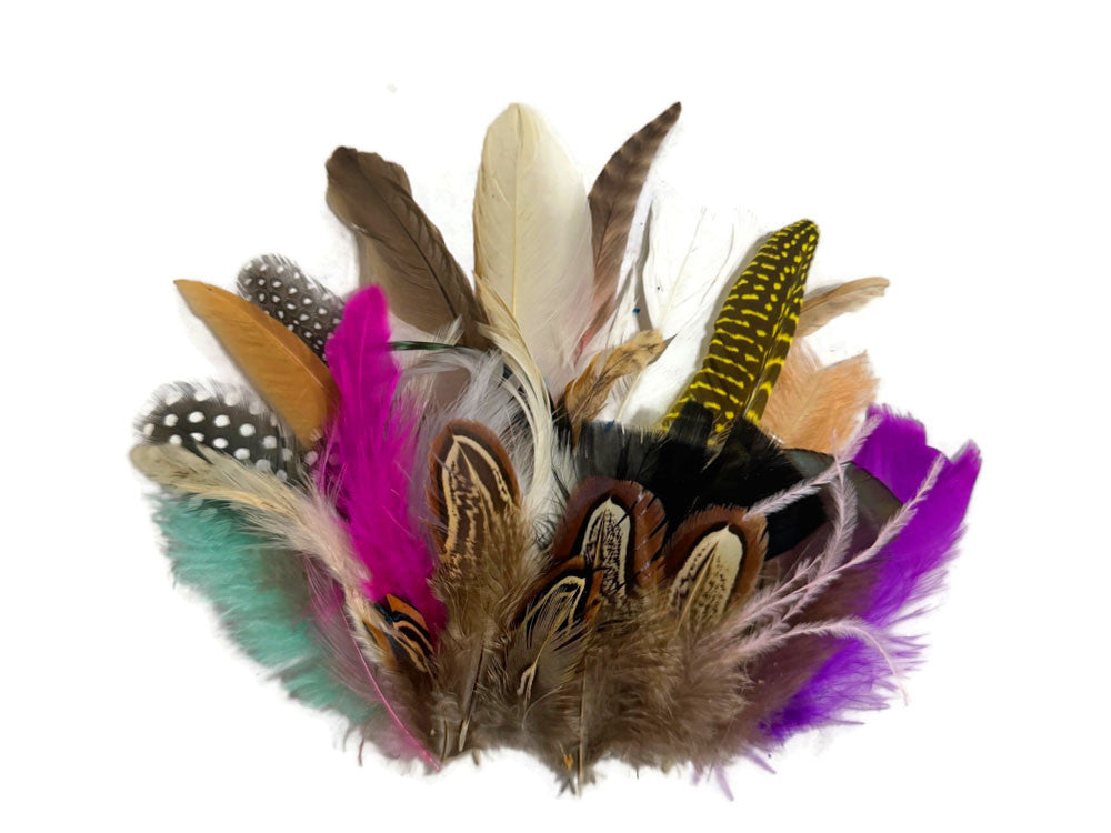 Collection 117 - Mix Random Feather Sample Pack (Bulk)