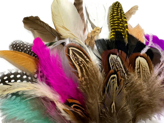 Collection 117 - Mix Random Feather Sample Pack (Bulk)