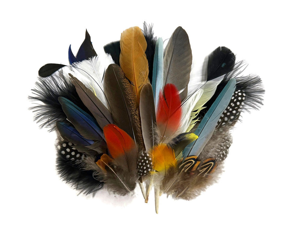 Collection 115 - Mix Random Exotic Feather Sample Pack (Bulk)