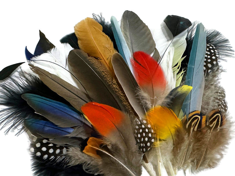 Collection 115 - Mix Random Exotic Feather Sample Pack (Bulk)