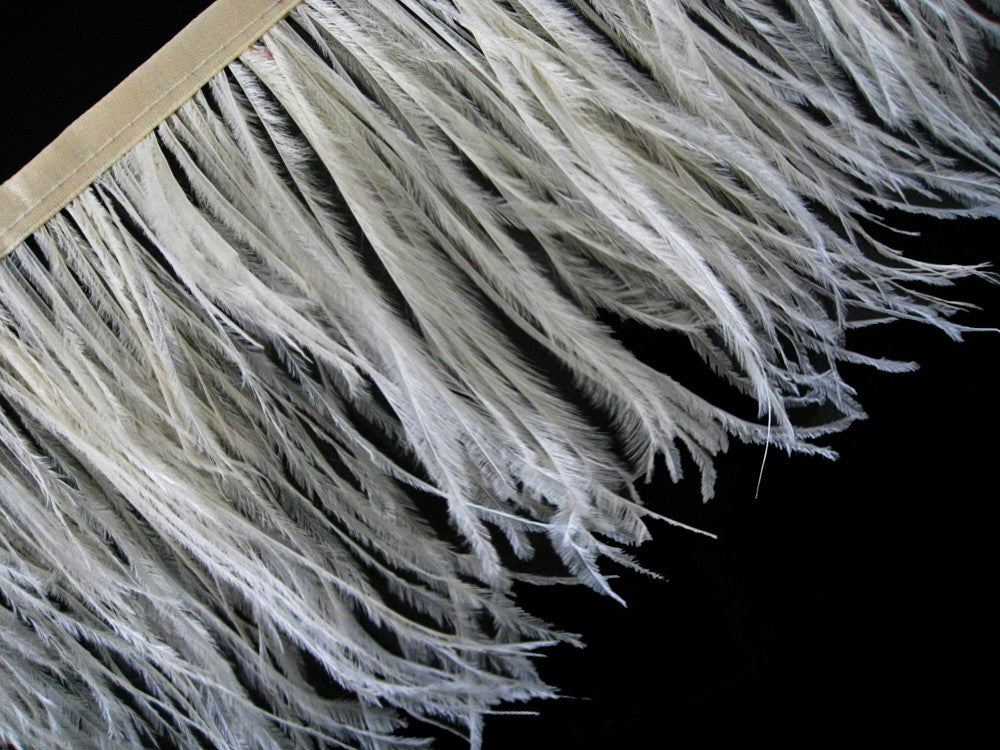 6 Inch Strip - Ivory Ostrich Fringe Trim  Feather