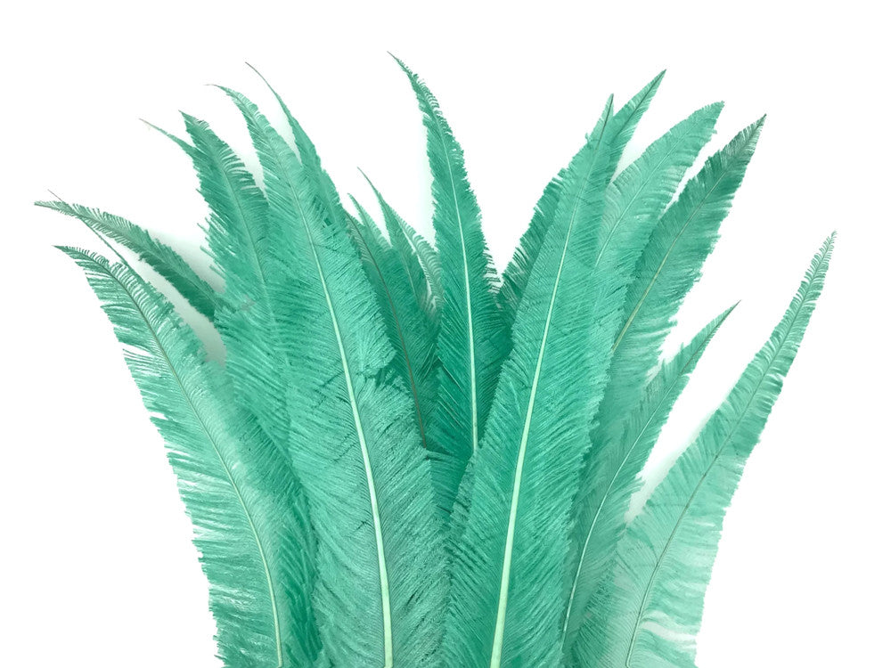 5 Pieces - Jade Green Long Ostrich Nandu Trimmed Feathers