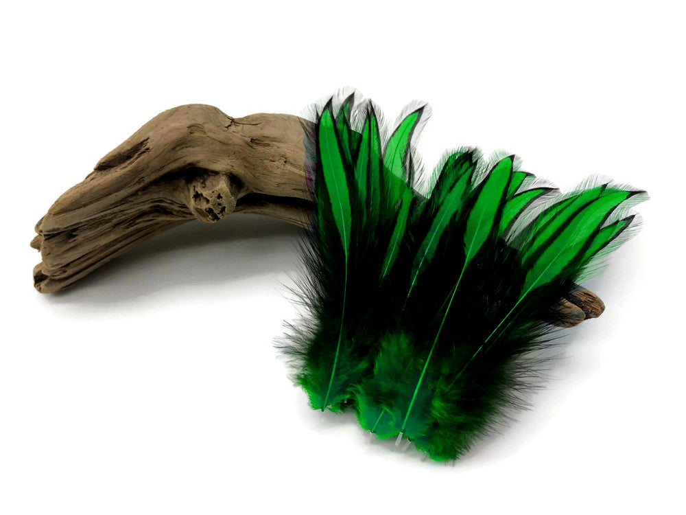 10 Pieces - Kelly Green Dyed BLW Laced Long Rooster Cape Whiting Farms Feathers