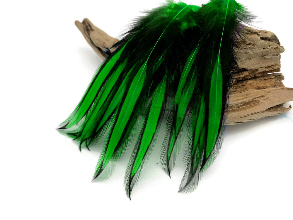 10 Pieces - Kelly Green Dyed BLW Laced Long Rooster Cape Whiting Farms Feathers