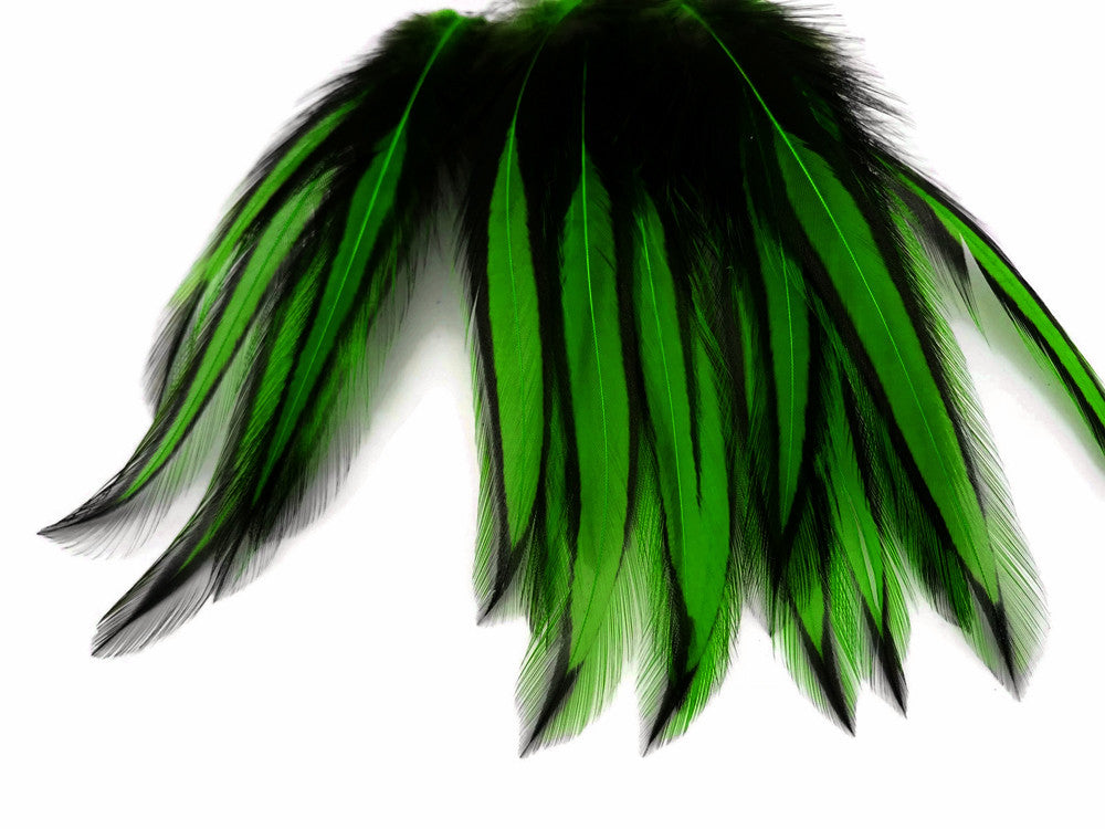 10 Pieces - Kelly Green Dyed BLW Laced Long Rooster Cape Whiting Farms Feathers