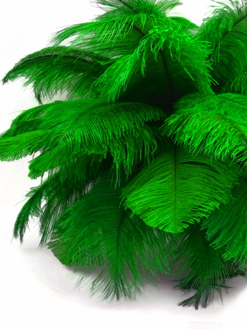 10 Pieces - 8-10" Kelly Green Ostrich Dyed Drabs Feathers