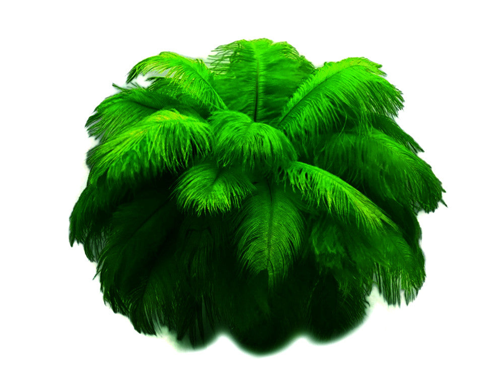 10 Pieces - 14-17" Kelly Green Ostrich Dyed Drab Body Feathers