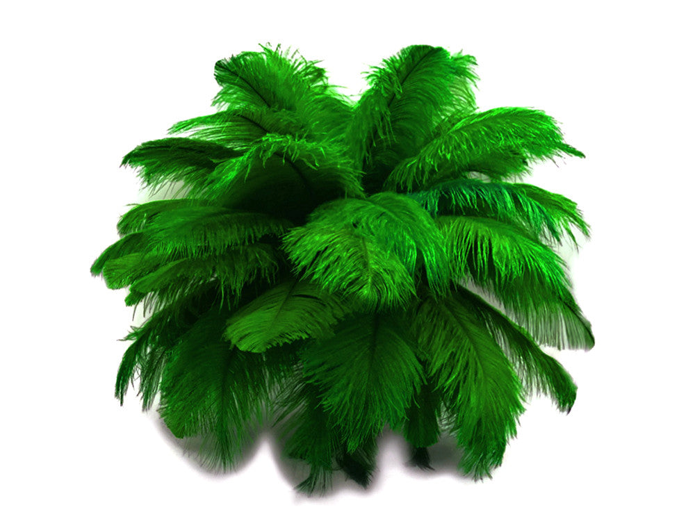10 Pieces - 19-24" Kelly Green Ostrich Dyed Drabs Body Feathers