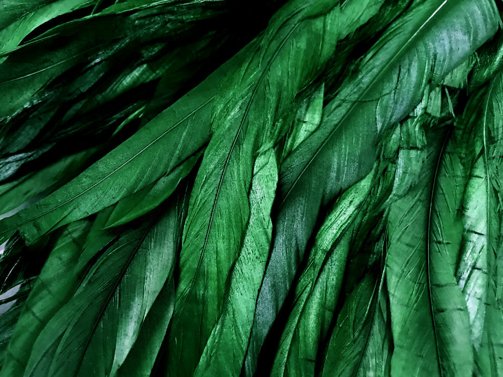 1 Yard - 10-12" Kelly Green Bleach & Dyed Coque Tails Long Feather Trim (Bulk)